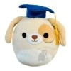 JAZWARES Squishmallow 8 Inch Harris The Dog Graduation Plush Toy