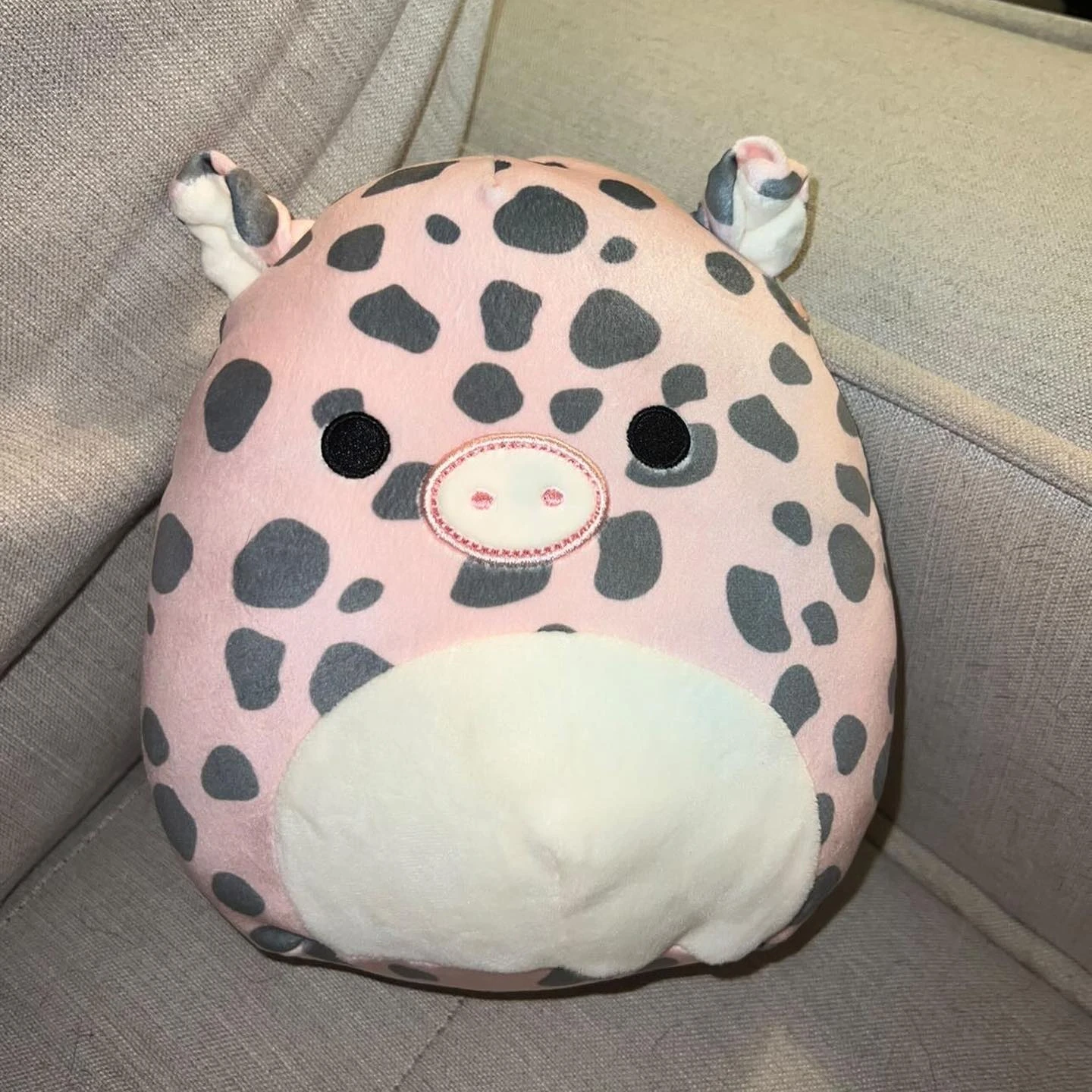 Owl And Goose Gifts 21 Owl And Goose Gifts -Owl And Goose Gifts Aquitaine Normal