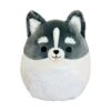 JAZWARES Squishmallow 5 Inch Paolo The Pomsky Plush Toy -Owl And Goose Gifts D4625DA1 1763 48AF 8E8F 1E5282436383