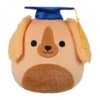 JAZWARES Squishmallow 8 Inch Finley The Irish Setter With Graduation Cap Plush Toy -Owl And Goose Gifts Screenshot2025 03 21095415